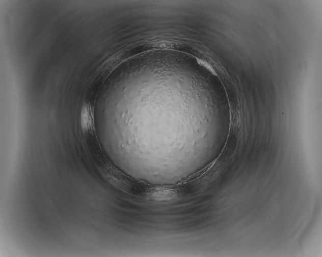 X0000116100095200911231134