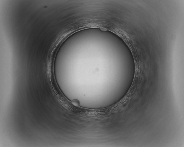 X0000116100098200911231133