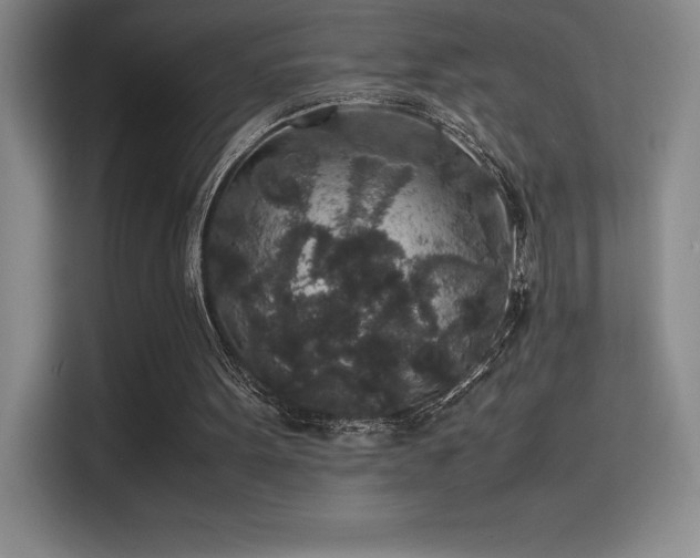 X0000116100099200911231133
