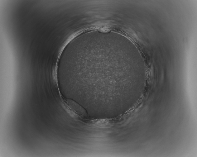 X0000116100100200911231133