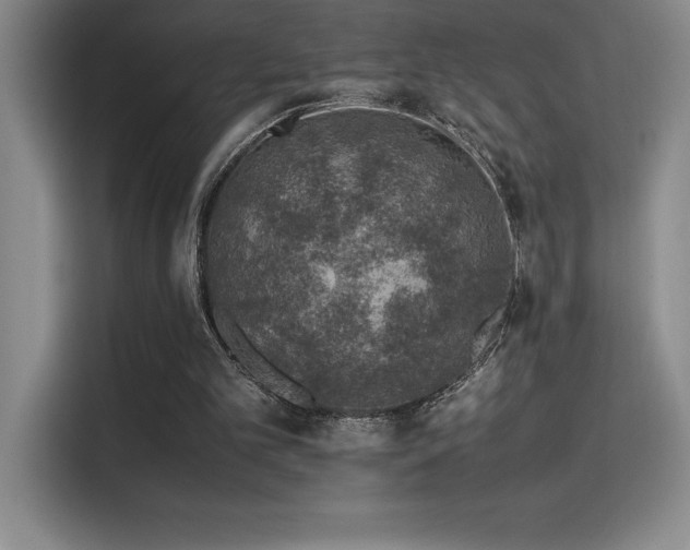 X0000116100101200911231133