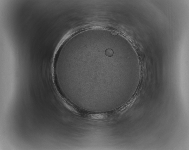X0000116100102200911231133