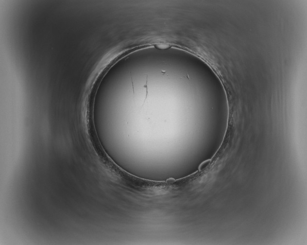X0000116100103200911231133