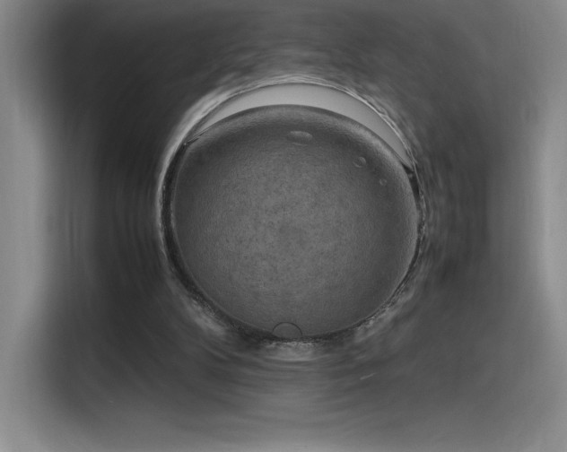 X0000116100104200911231133
