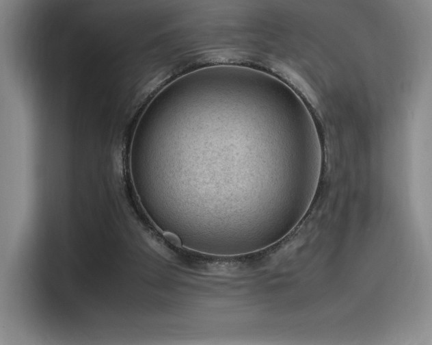 X0000116100105200911231133