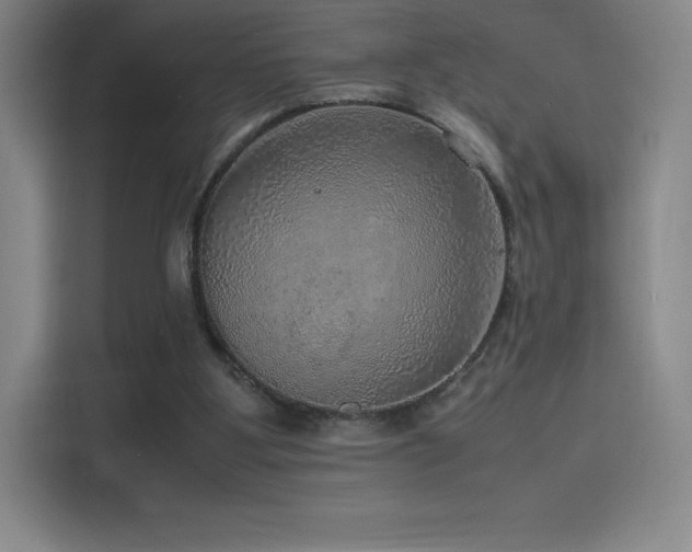 X0000116100107200911231133
