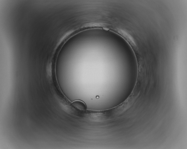 X0000116100108200911231133