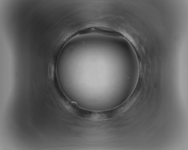 X0000116100109200911231133