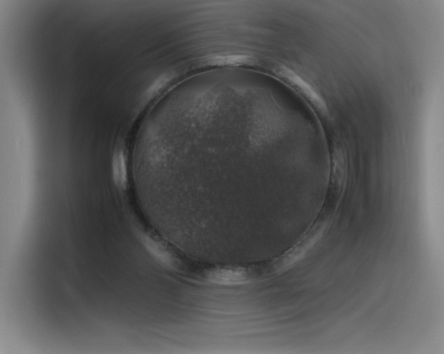 X0000116100110200911231133