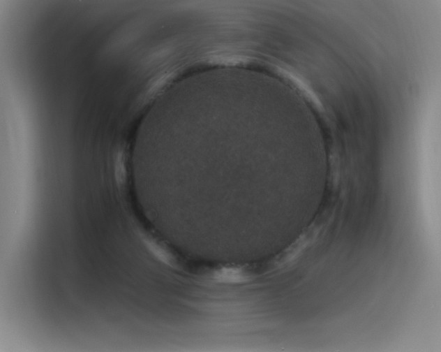 X0000116100114200911231133
