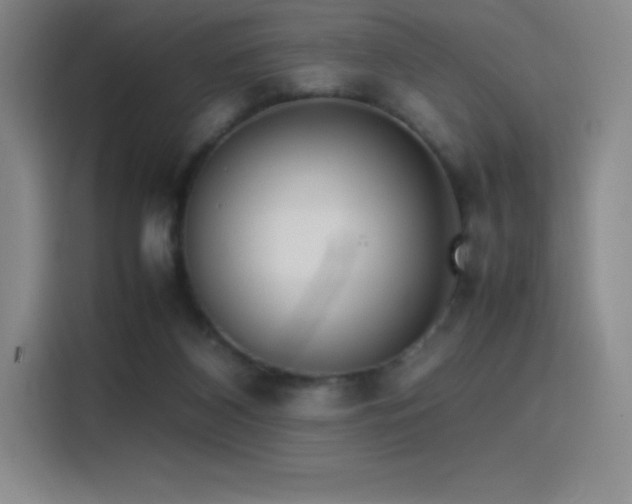 X0000116100116200911231133