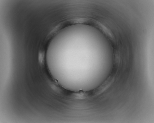 X0000116100118200911231133