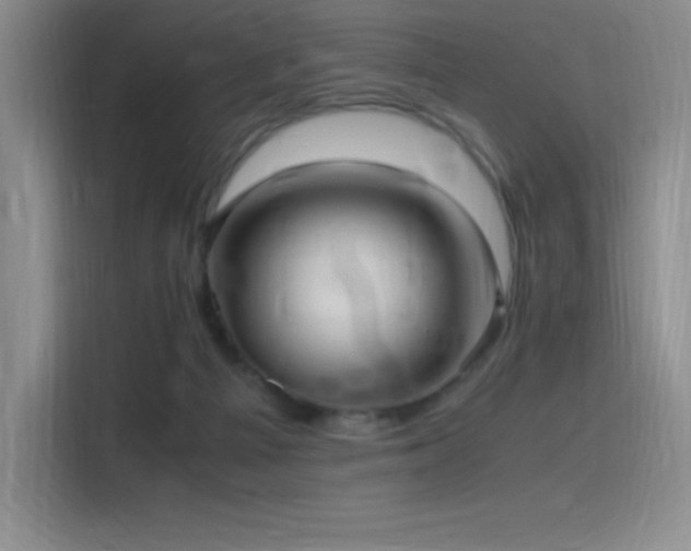 X0000116100121200911231133