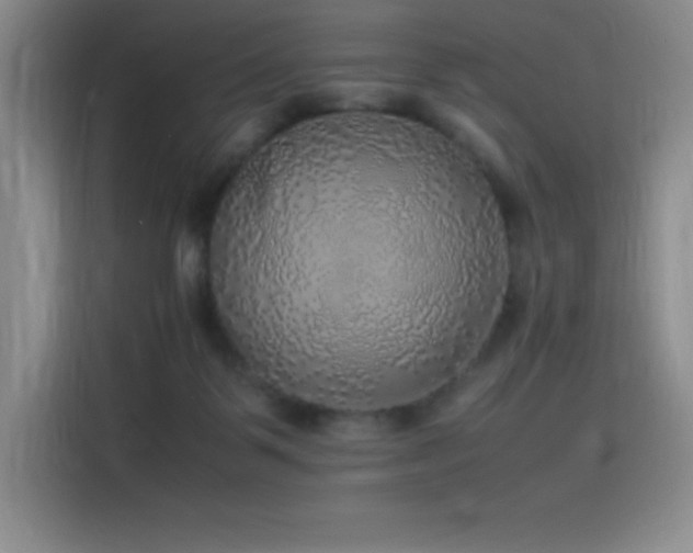 X0000116100123200911231133