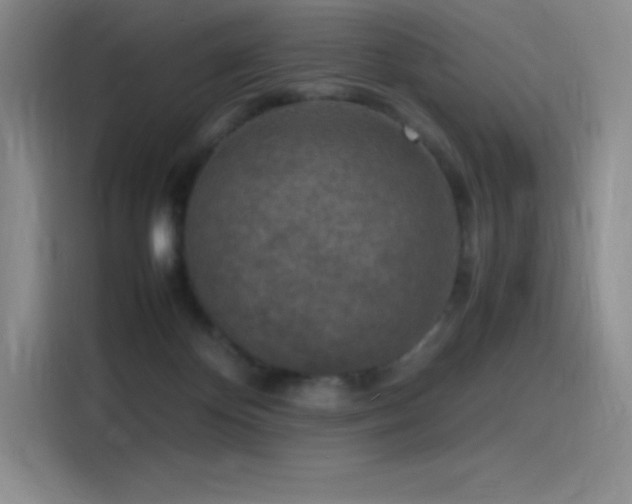 X0000116100124200911231133