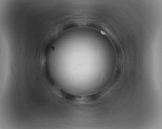 X0000116100125200911231133
