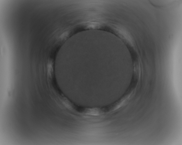 X0000116100127200911231133