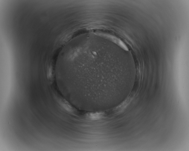 X0000116100134200911231133