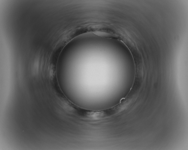 X0000116100135200911231133