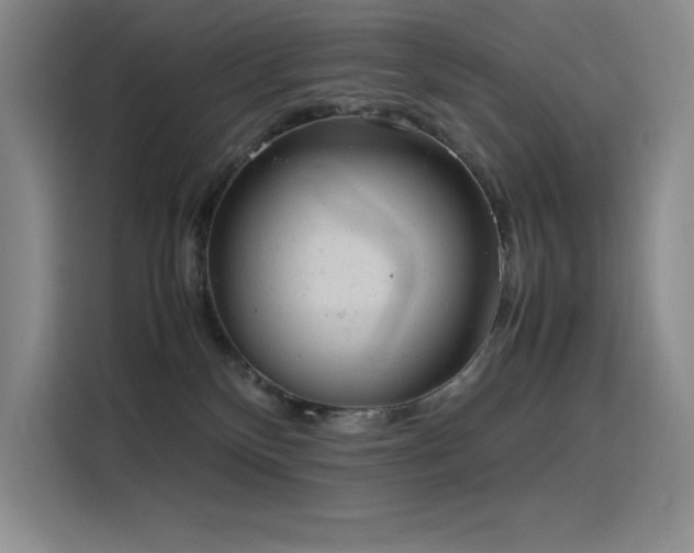 X0000116100136200911231133