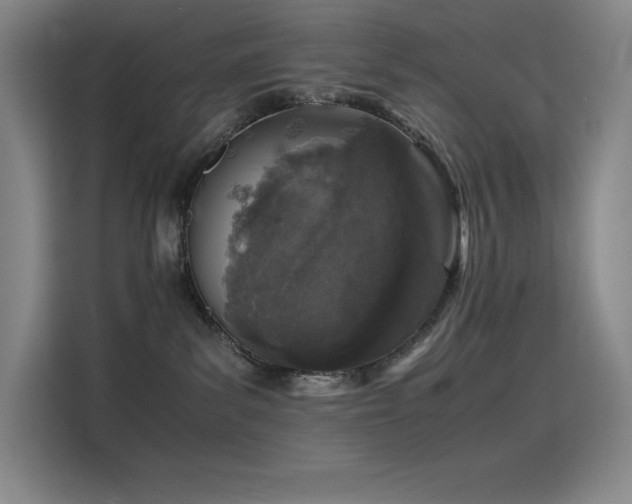 X0000116100139200911231133