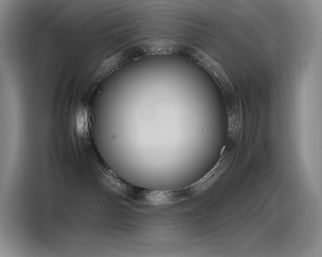 X0000116100142200911231133