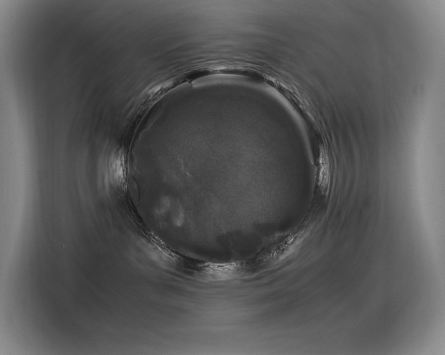 X0000116100143200911231133