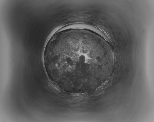 X0000116100147200911231132