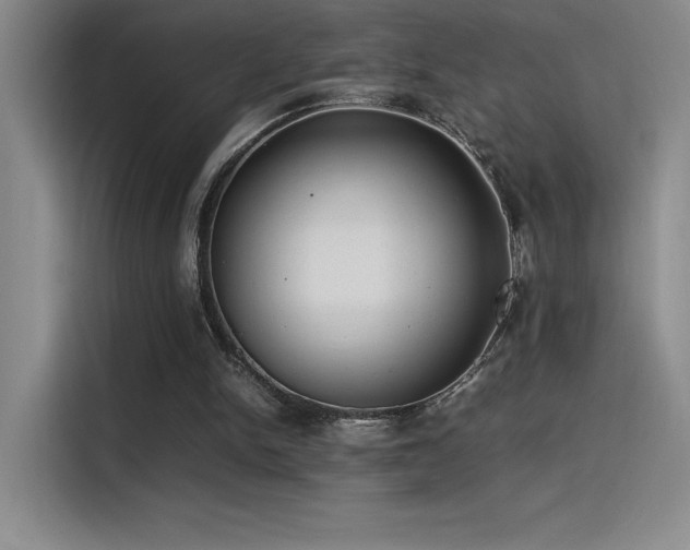 X0000116100150200911231132