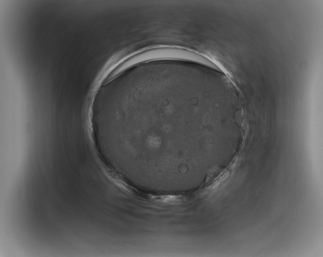 X0000116100151200911231132