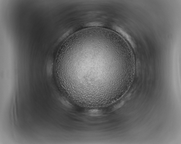 X0000116100153200911231132