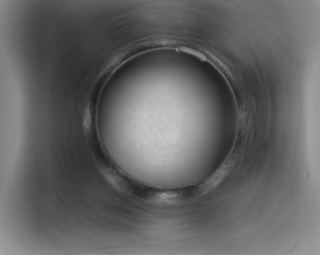 X0000116100158200911231132