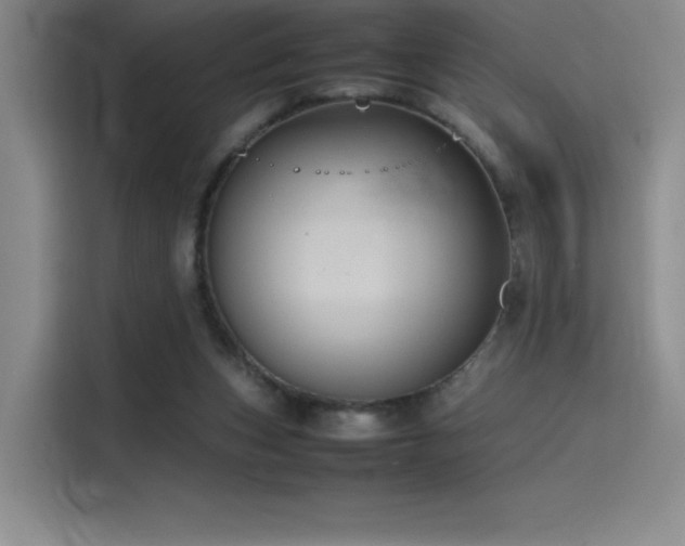 X0000116100159200911231132