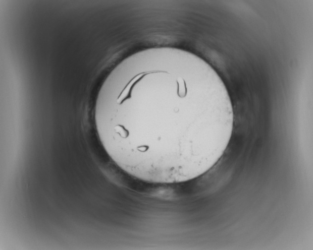 X0000116100162200911231132