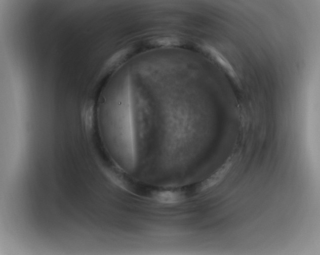 X0000116100163200911231132