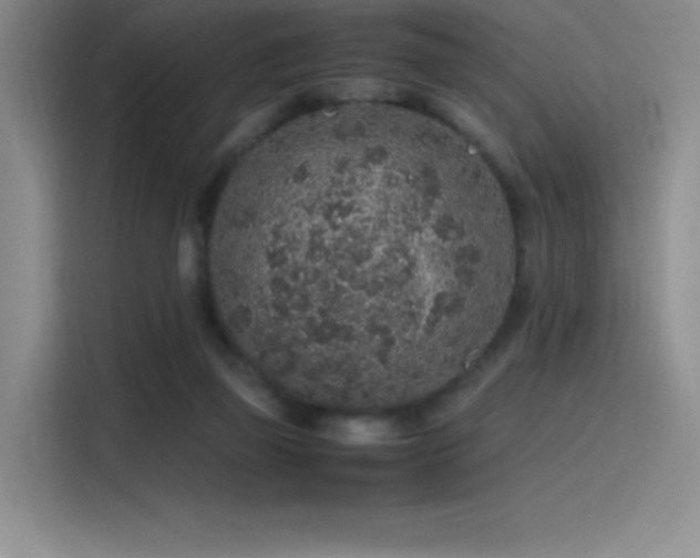 X0000116100165200911231132