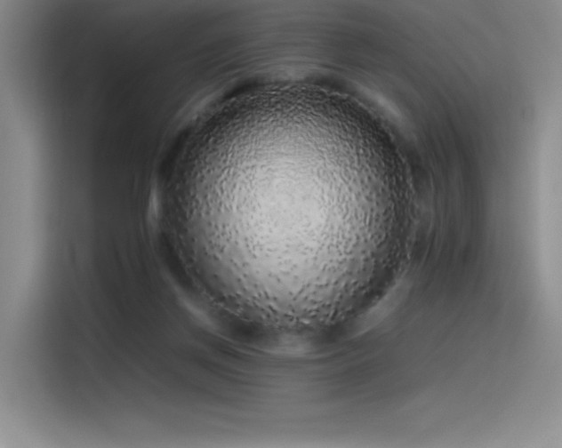 X0000116100166200911231132