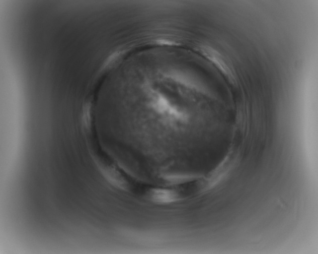 X0000116100167200911231132