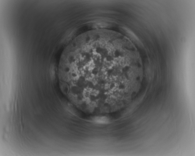 X0000116100169200911231132