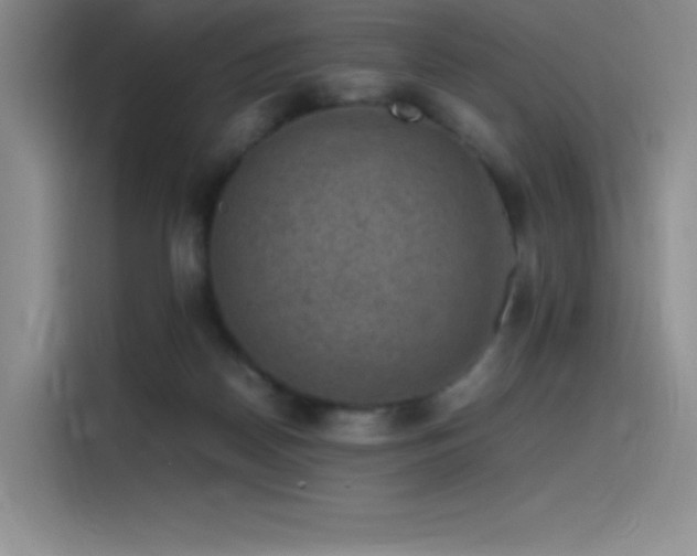 X0000116100170200911231132