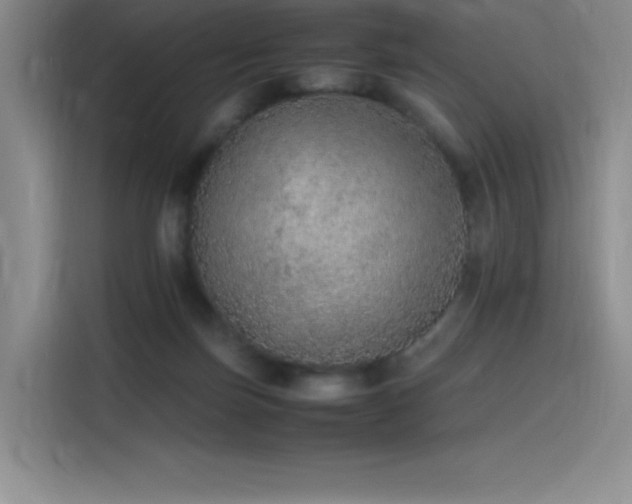 X0000116100171200911231133