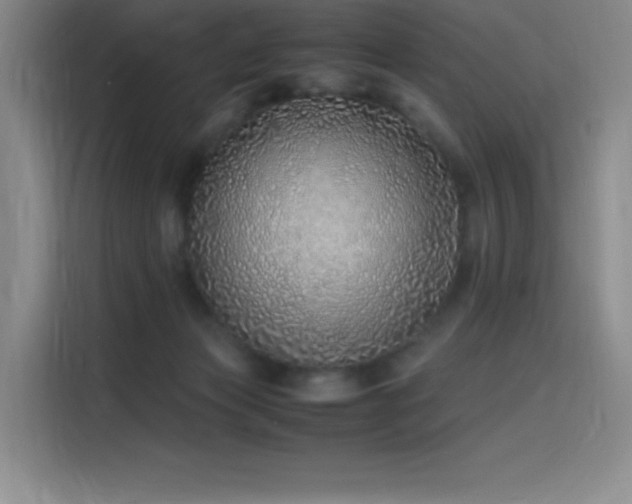 X0000116100173200911231133