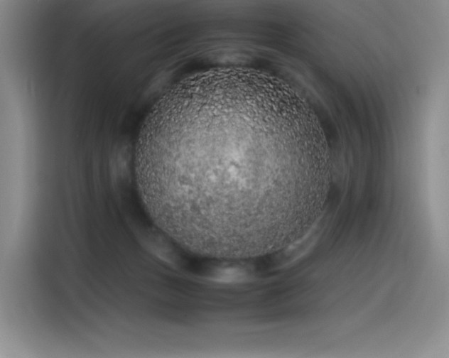 X0000116100175200911231133