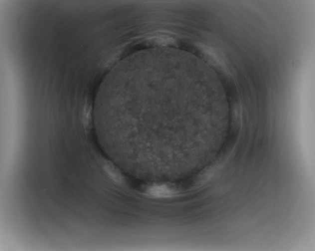 X0000116100177200911231133