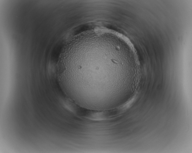 X0000116100178200911231133