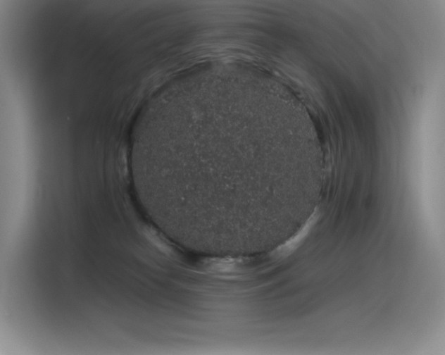 X0000116100182200911231133