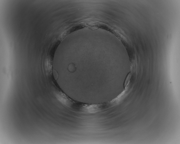X0000116100186200911231133