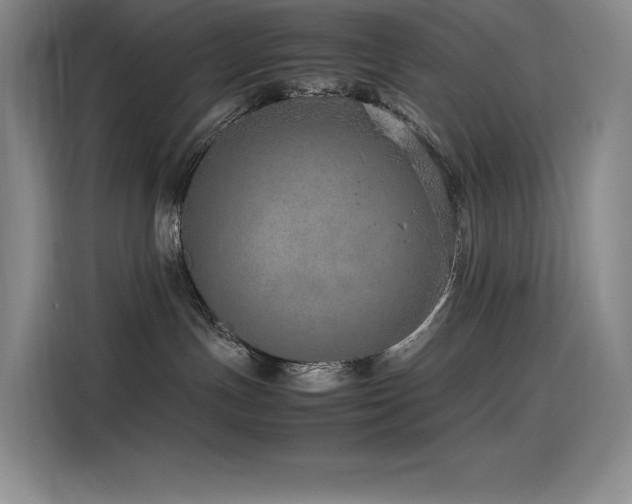 X0000116100191200911231133