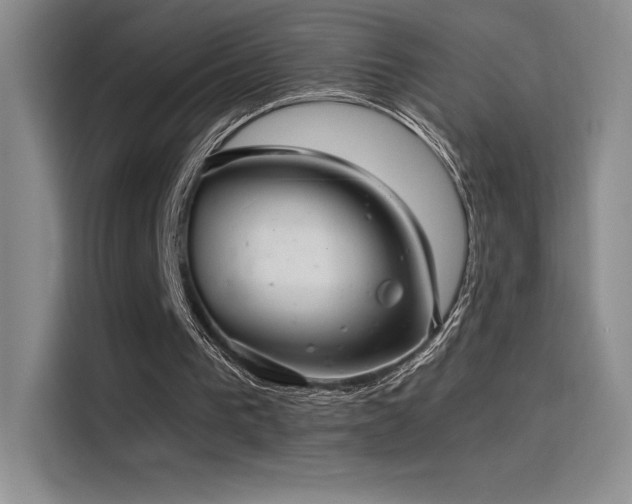 X0000116100193200911231132