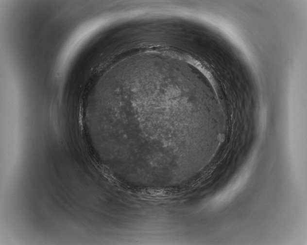 X0000116100194200911231132